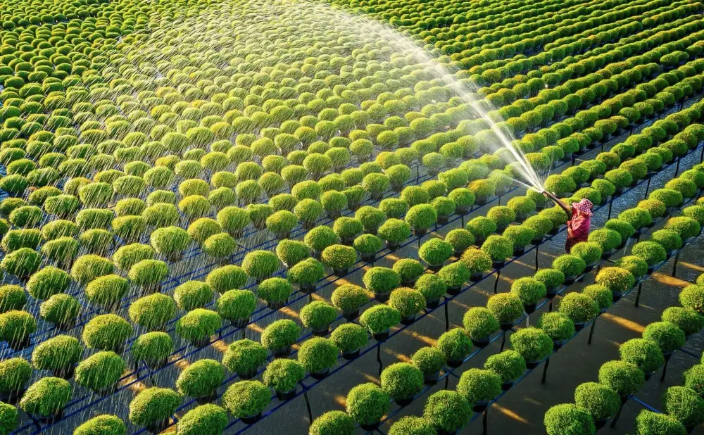 Công nghiệp sinh học trong lĩnh vực bảo vệ môi truờng