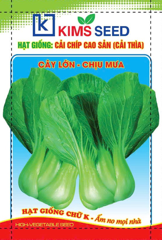 HẠT GIỐNG CẢI CHÍP CAO SẢN