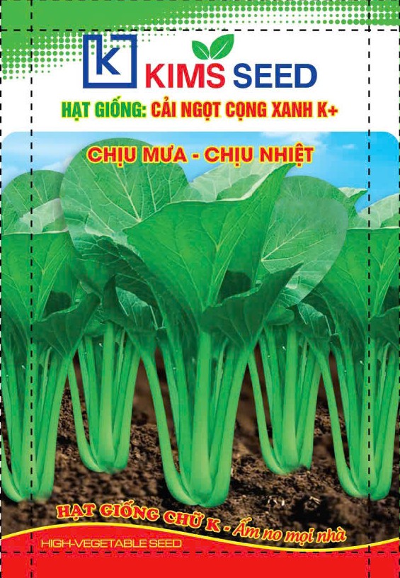 HẠT GIỐNG CẢI NGỌT CỌNG XANH