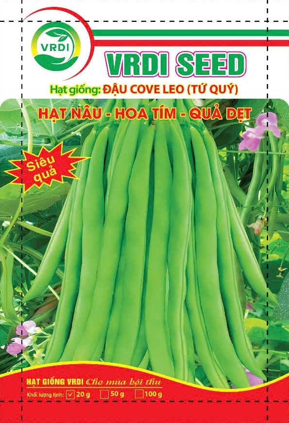 HẠT GIỐNG ĐẬU COVE LEO TỨ QUÝ