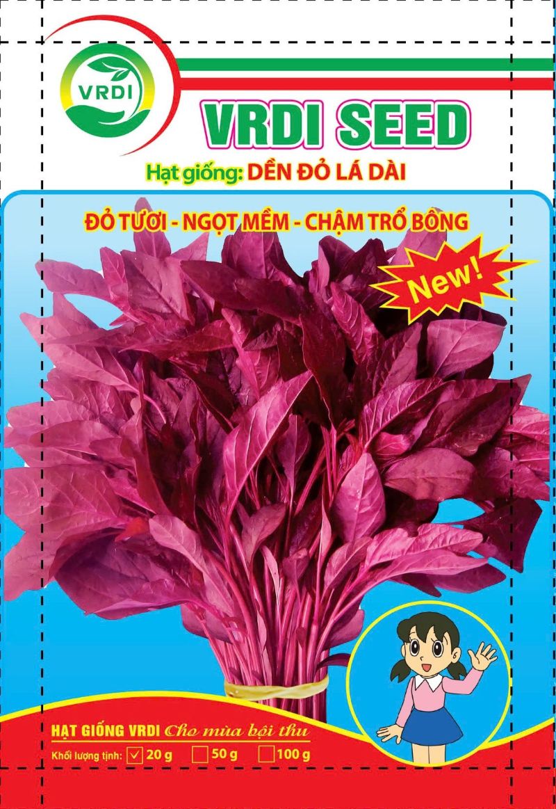 HẠT GIỐNG DỀN ĐỎ LÁ DÀI