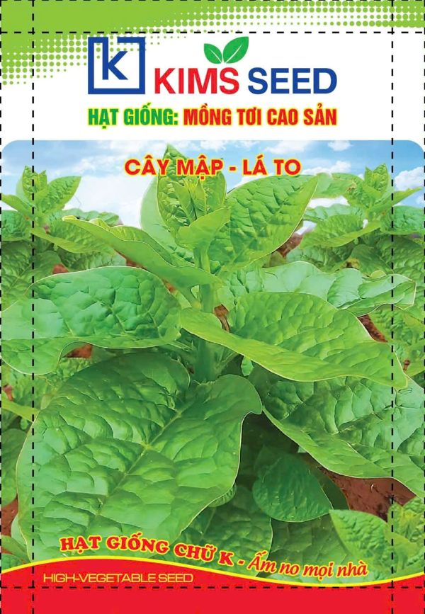 HẠT GIỐNG MỒNG TƠI CAO SẢN