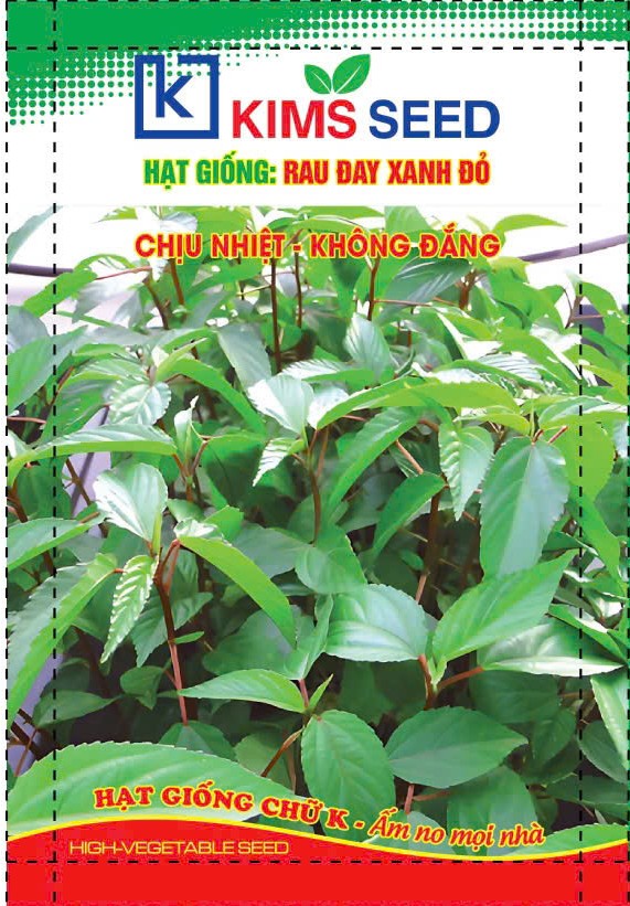 HẠT GIỐNG RAU ĐAY ĐỎ