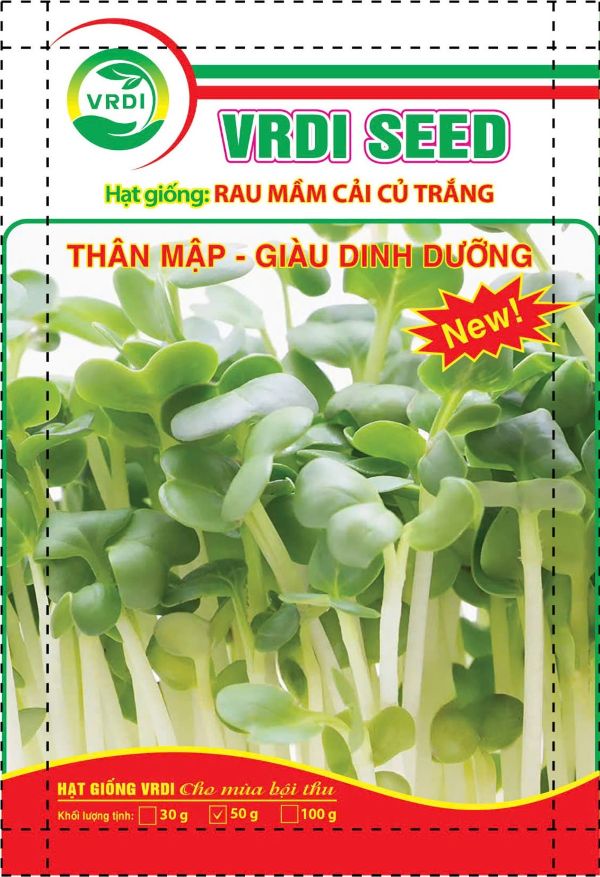 HẠT GIỐNG RAU MẦM CẢI CỦ
